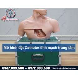 MÔ HÌNH ĐẶT CATHETER TĨNH MẠCH TRUNG TÂM